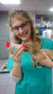 V&eacute;t. associ&eacute; Eva Ledoux